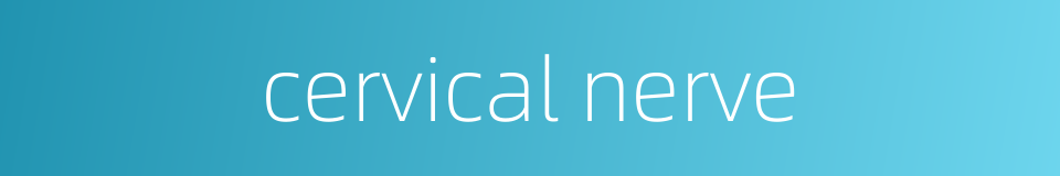cervical nerve的同义词
