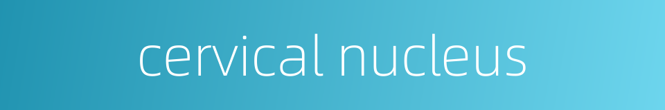 cervical nucleus的同义词