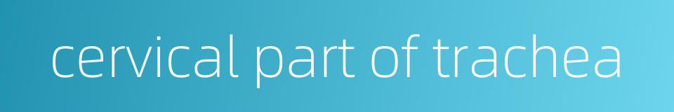 cervical part of trachea的同义词