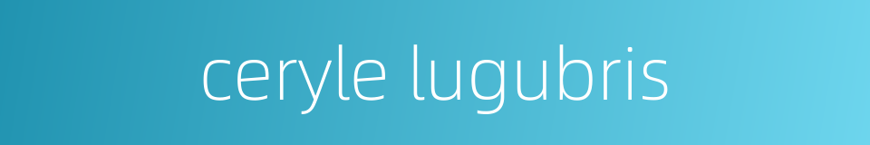 ceryle lugubris的同义词