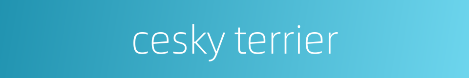 cesky terrier的同义词