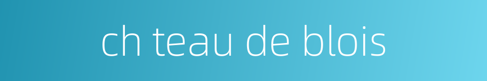 ch teau de blois的同义词