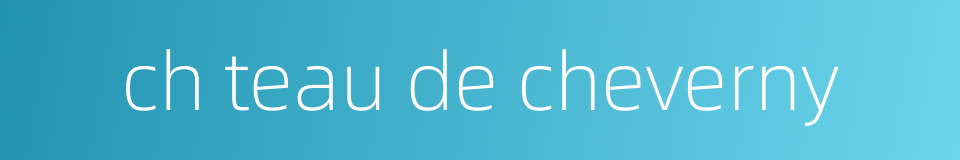 ch teau de cheverny的同义词