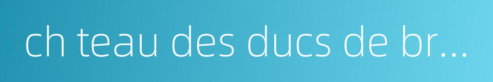 ch teau des ducs de bretagne的同义词