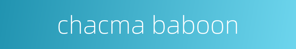 chacma baboon的同义词