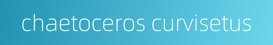 chaetoceros curvisetus的同义词