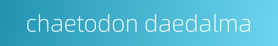 chaetodon daedalma的同义词