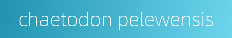 chaetodon pelewensis的同义词