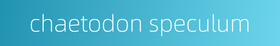 chaetodon speculum的同义词