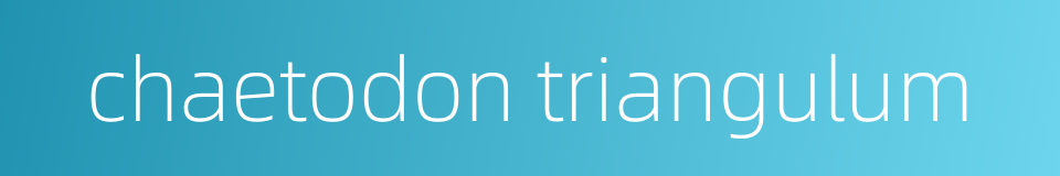 chaetodon triangulum的同义词
