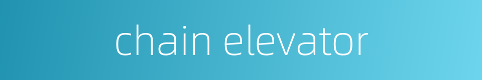 chain elevator的同义词