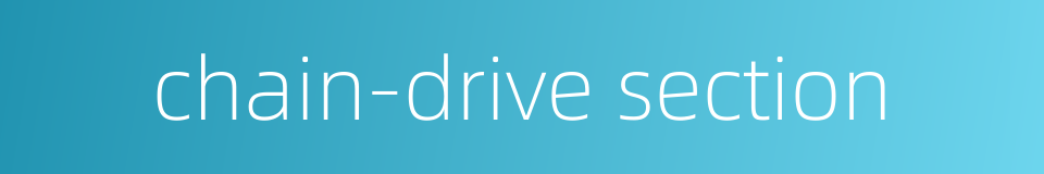 chain-drive section的同义词