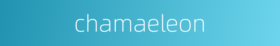 chamaeleon的同义词