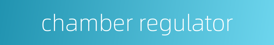 chamber regulator的同义词