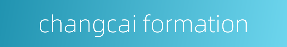 changcai formation的同义词