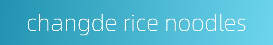 changde rice noodles的同义词