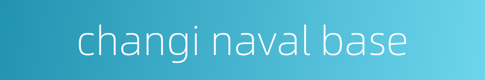 changi naval base的同义词