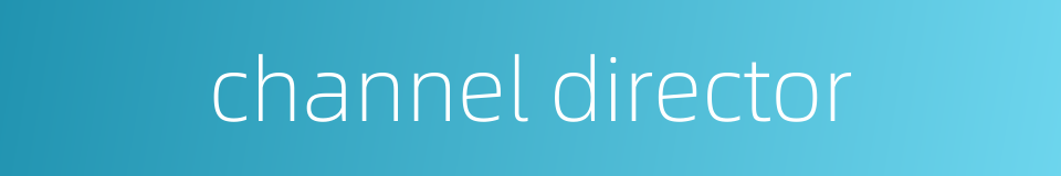 channel director的同义词