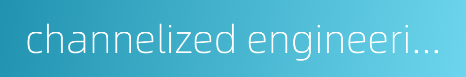 channelized engineering的同义词