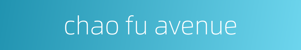 chao fu avenue的同义词