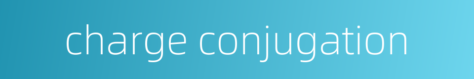 charge conjugation的同义词