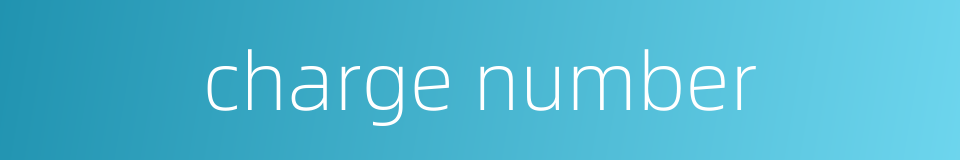 charge number的同义词