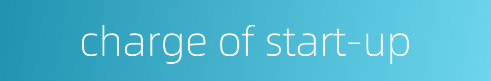 charge of start-up的同义词