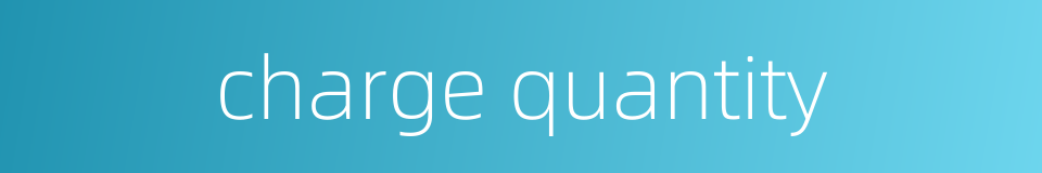 charge quantity的同义词