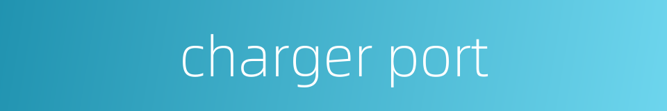 charger port的同义词
