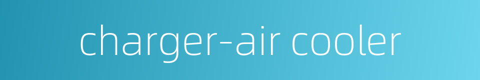 charger-air cooler的同义词