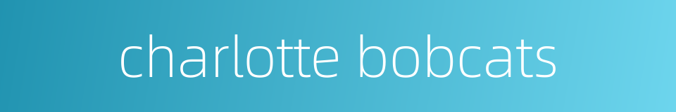 charlotte bobcats的同义词