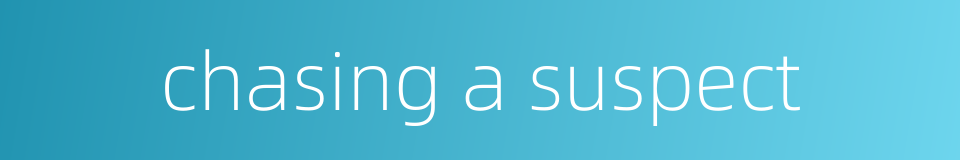 chasing a suspect的同义词
