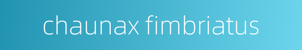 chaunax fimbriatus的同义词