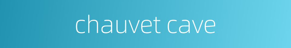 chauvet cave的同义词