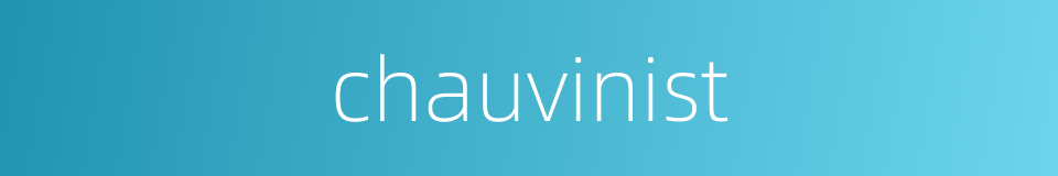 chauvinist的同义词