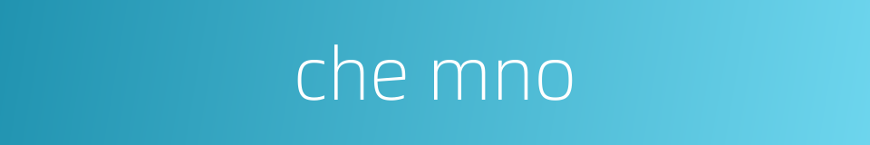 che mno的同义词
