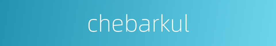 chebarkul的同义词