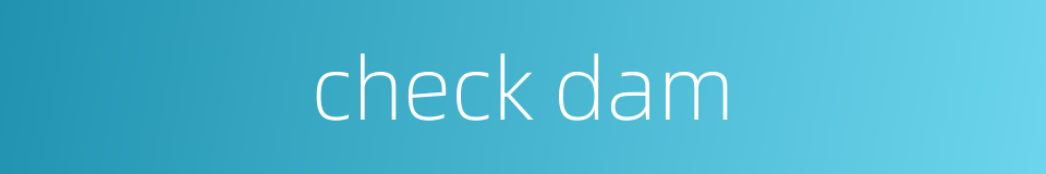 check dam的同义词