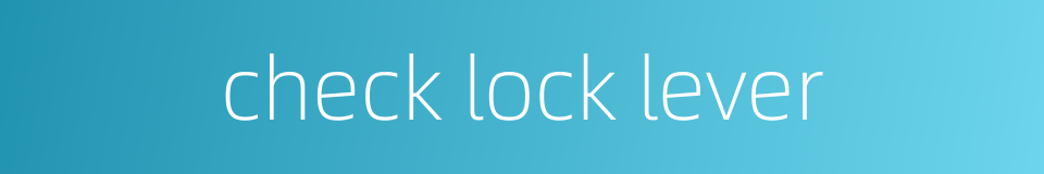 check lock lever的同义词