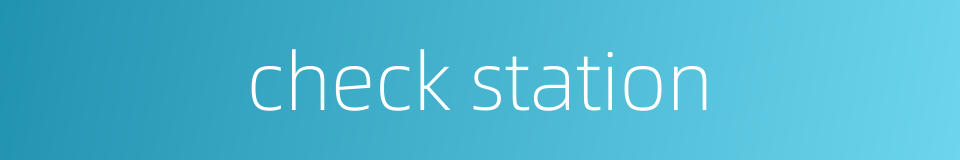 check station的同义词