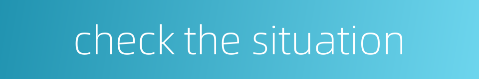 check the situation的同义词