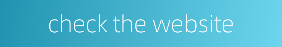 check the website的同义词