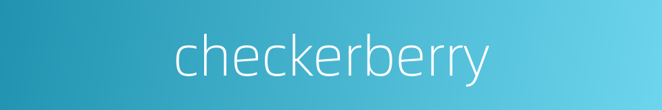 checkerberry的同义词