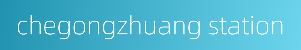 chegongzhuang station的同义词