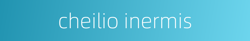 cheilio inermis的同义词