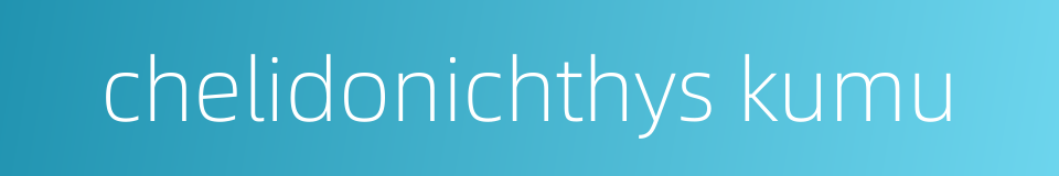 chelidonichthys kumu的同义词