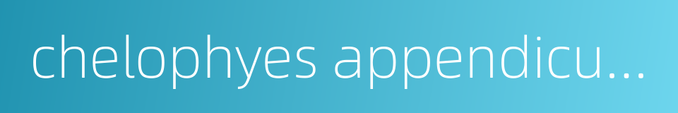 chelophyes appendiculata的同义词