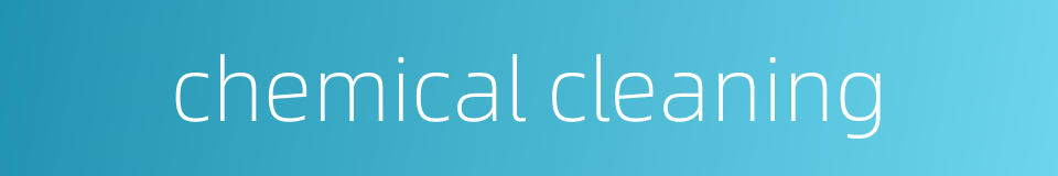 chemical cleaning的同义词