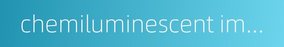 chemiluminescent immunoassay analyzer的同义词