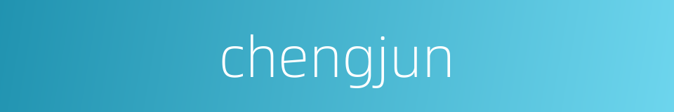chengjun的同义词